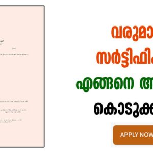 Certificate online