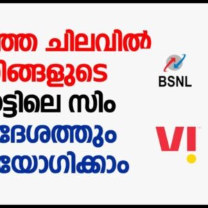 telecommunication services