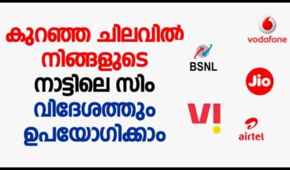 telecommunication services